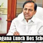 Telangana Lunch Box Scheme