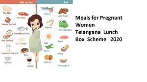 Telangana Lunch box scheme