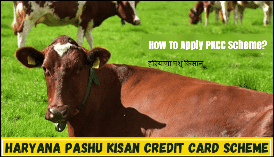 Pashu Kisan Credit Card
