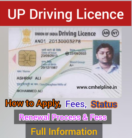 Driving Licence UP